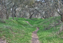 trails along the American River